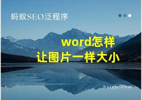 word怎样让图片一样大小