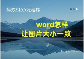 word怎样让图片大小一致