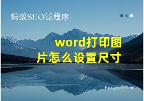 word打印图片怎么设置尺寸