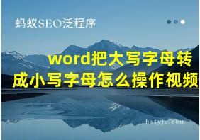 word把大写字母转成小写字母怎么操作视频