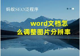 word文档怎么调整图片分辨率