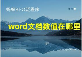 word文档数值在哪里