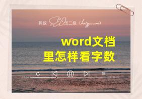 word文档里怎样看字数