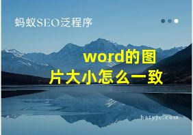 word的图片大小怎么一致