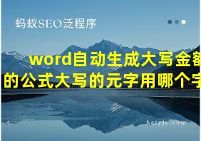 word自动生成大写金额的公式大写的元字用哪个字