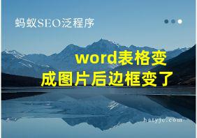 word表格变成图片后边框变了