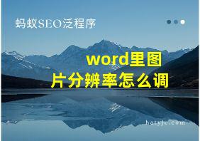 word里图片分辨率怎么调