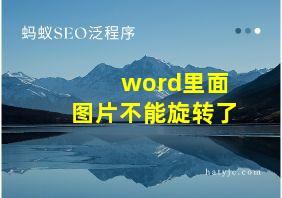 word里面图片不能旋转了