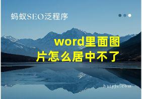 word里面图片怎么居中不了