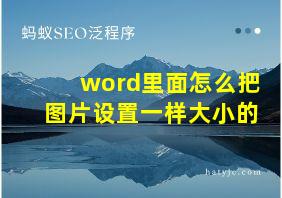 word里面怎么把图片设置一样大小的