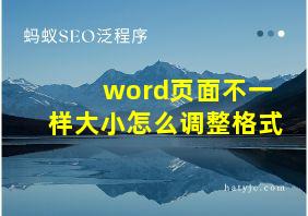 word页面不一样大小怎么调整格式