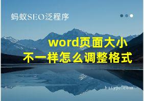 word页面大小不一样怎么调整格式