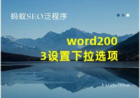 word2003设置下拉选项