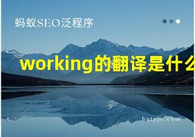 working的翻译是什么