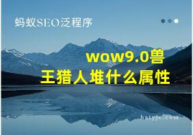 wow9.0兽王猎人堆什么属性