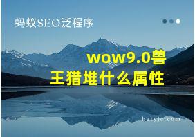 wow9.0兽王猎堆什么属性