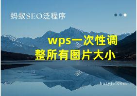 wps一次性调整所有图片大小