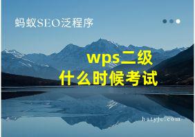 wps二级什么时候考试