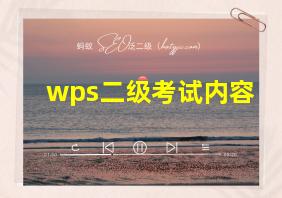 wps二级考试内容