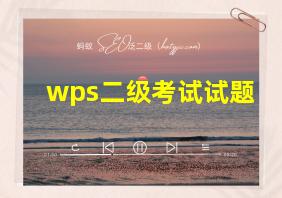 wps二级考试试题