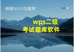 wps二级考试题库软件