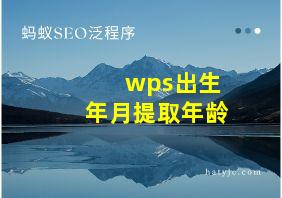 wps出生年月提取年龄