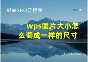 wps图片大小怎么调成一样的尺寸