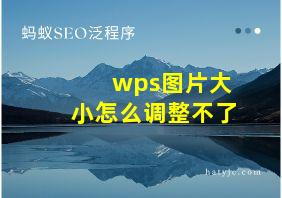 wps图片大小怎么调整不了