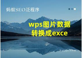 wps图片数据转换成exce