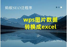 wps图片数据转换成excel