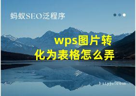 wps图片转化为表格怎么弄