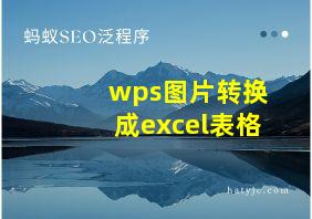 wps图片转换成excel表格