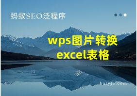 wps图片转换excel表格