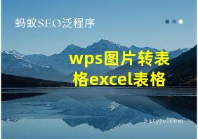 wps图片转表格excel表格