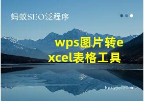 wps图片转excel表格工具