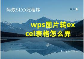 wps图片转excel表格怎么弄