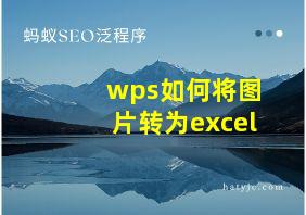 wps如何将图片转为excel