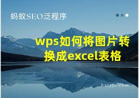 wps如何将图片转换成excel表格