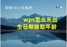 wps怎么从出生日期提取年龄