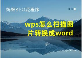 wps怎么扫描图片转换成word