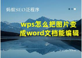 wps怎么把图片变成word文档能编辑