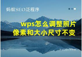 wps怎么调整照片像素和大小尺寸不变