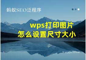 wps打印图片怎么设置尺寸大小