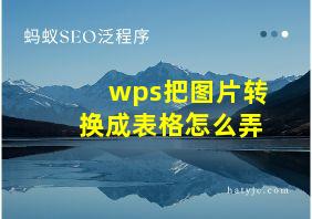 wps把图片转换成表格怎么弄