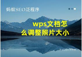 wps文档怎么调整照片大小