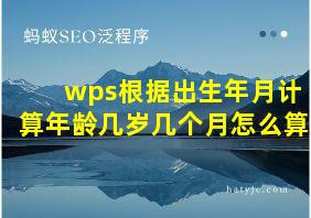 wps根据出生年月计算年龄几岁几个月怎么算