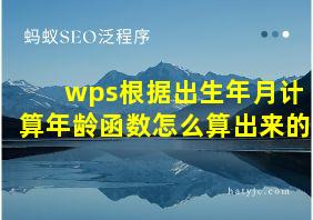 wps根据出生年月计算年龄函数怎么算出来的