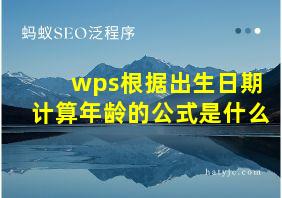 wps根据出生日期计算年龄的公式是什么