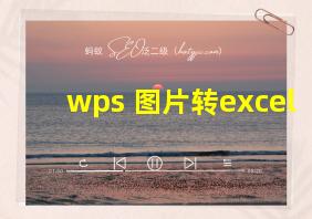 wps 图片转excel