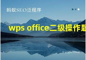 wps office二级操作题